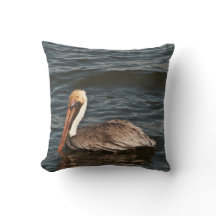 Braunpelikan (Pelecanus occidentalis)