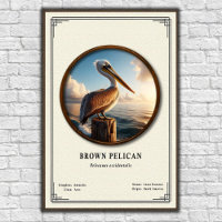 Braunpelikan-Zoologie-Serienposter