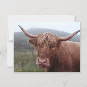 Braunwasserbüffel in Duirinish, Vereinigtes Königr Postkarte