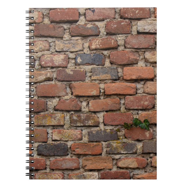 Braunziegelmauer Notizblock (Vorderseite)