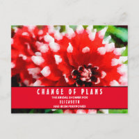 Brautparty Änderung der Pläne Rote Dahlia Postkart