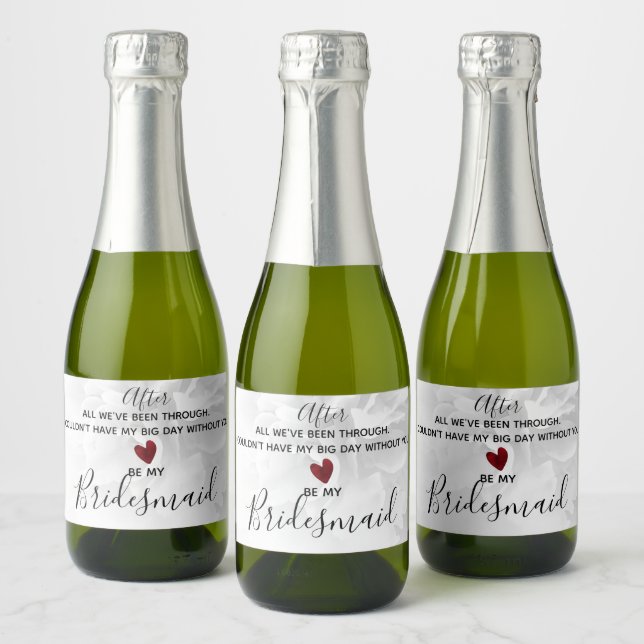 Brautparty Vorschlag meine Bridesmaid Modern (Flaschen)