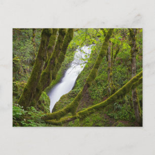 Brautschleierfall Postkarte
