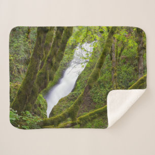 Brautschleierfall Sherpadecke