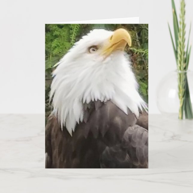 Brave Eagle Greeting Card Karte (Vorderseite)