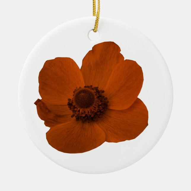 Brawn Anemone Ornament (Vorne)