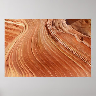 Brawn-Antelope Poster