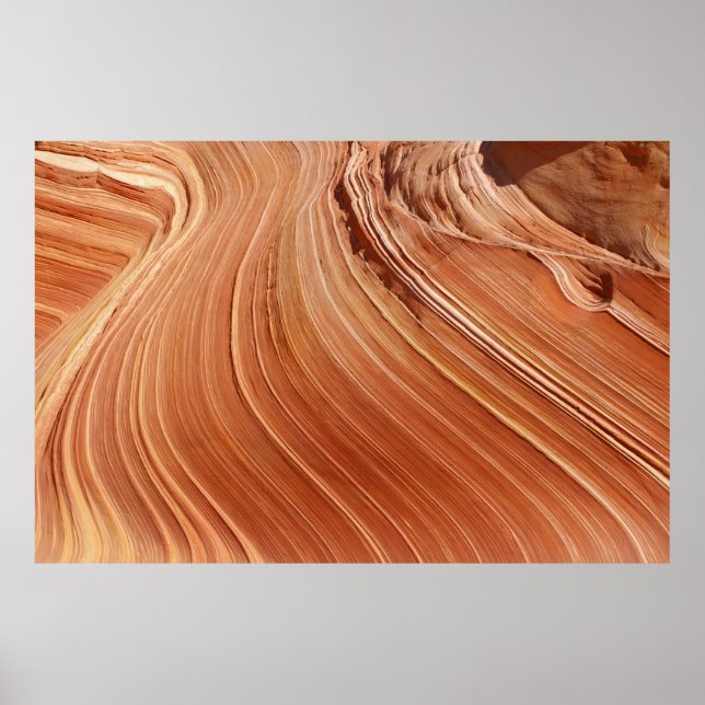 Brawn-Antelope Poster (Vorne)