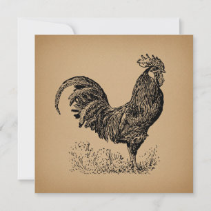 Brawn Antique Rooster Illustration Hühnerart Karte