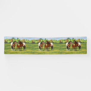 Brawn Bay Appaloosa Pferde im Sommer Weide Banner