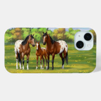 Brawn Bay Appaloosa Pferde im Sommer Weide