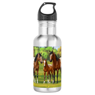Brawn Bay Appaloosa Pferde im Sommer Weide Edelstahlflasche
