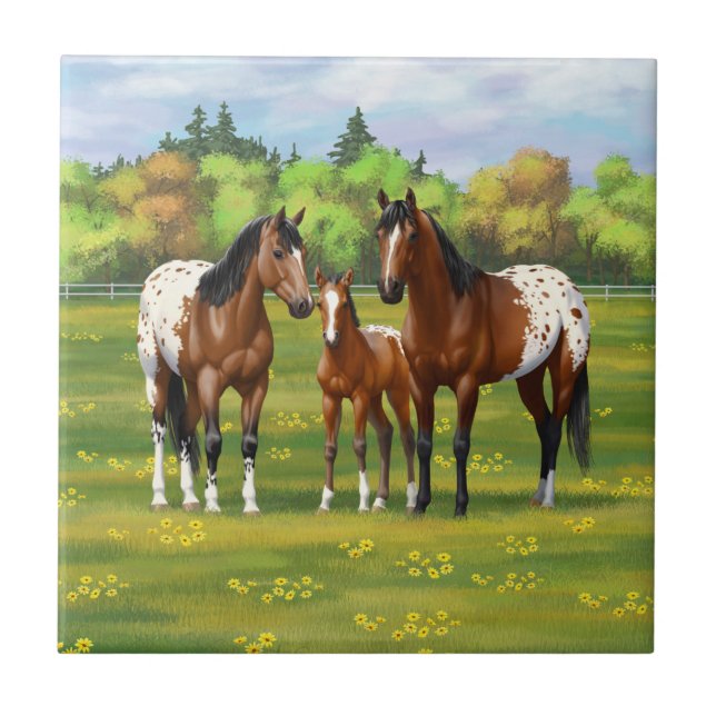 Brawn Bay Appaloosa Pferde im Sommer Weide Fliese (Vorderseite)
