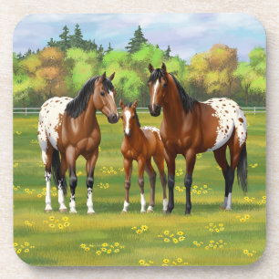 Brawn Bay Appaloosa Pferde im Sommer Weide Getränkeuntersetzer