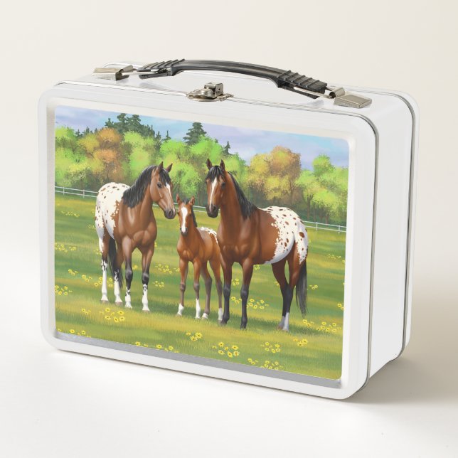 Brawn Bay Appaloosa Pferde im Sommer Weide Metall Brotdose (Vorderseite)