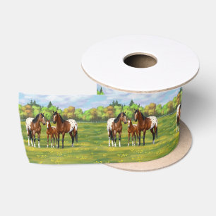 Brawn Bay Appaloosa Pferde im Sommer Weide Satinband