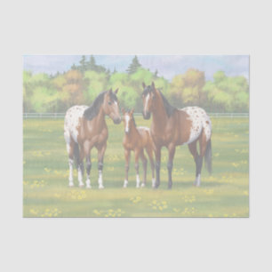 Brawn Bay Appaloosa Pferde im Sommer Weide Seidenpapier