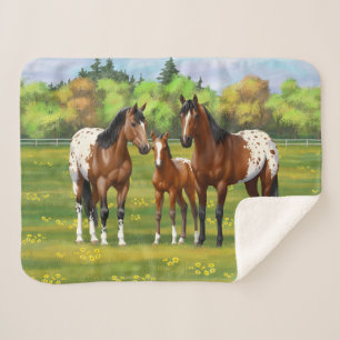 Brawn Bay Appaloosa Pferde im Sommer Weide Sherpadecke