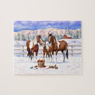 Brawn Bay Pinto Paint Quarter Pferde im Schnee