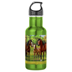 Brawn Bay Quarter Pferde im Sommer Weide Edelstahlflasche
