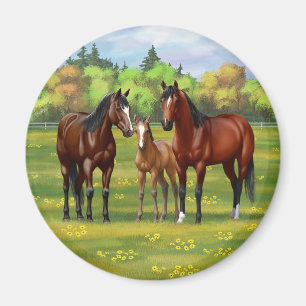 Brawn Bay Quarter Pferde in Sommerweide Magnet