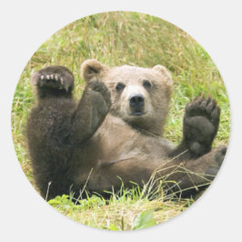 Brawn Bear Kodiak Cub Geschenke Runder Aufkleber