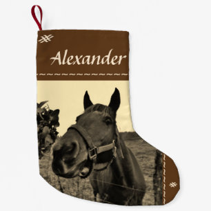 Brawn Black Sepione Weihnachtspferd Kleiner Weihnachtsstrumpf
