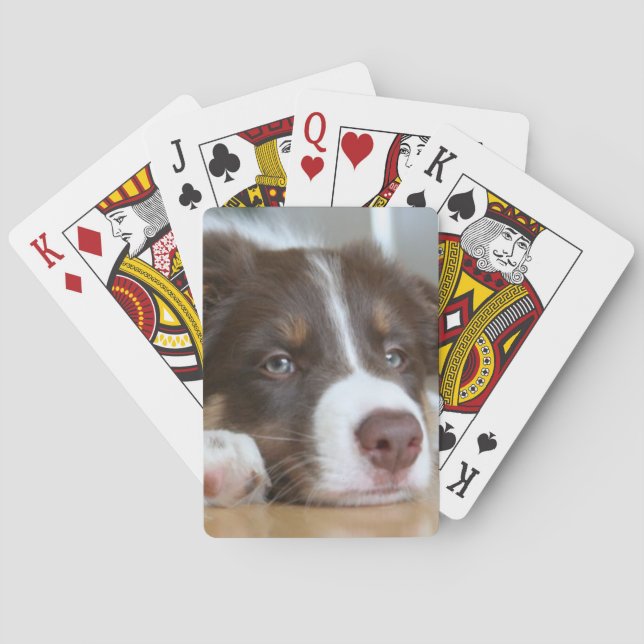 Brawn Border Collie Dog Playing Cards Spielkarten (Rückseite)