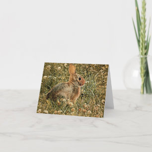Brawn Bunny - Blank Grußkarte Karte