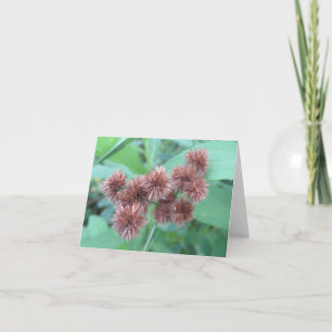 Brawn Burr Blooms - Blank Grußkarte Karte