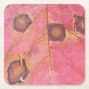 Brawn Dotted Red Fall Leaf Rechteckiger Pappuntersetzer