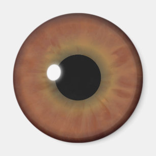 Brawn Eye Iris Eyeball Coole Rundmagnete Magnet