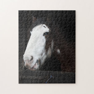 Brawn Horse on Farm Nur ein Mädchen, das Pferde Li