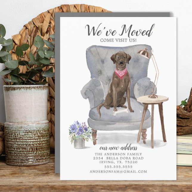 Brawn Labrador Retriever Dog | Ankündigung der Bef (Von Creator hochgeladen)