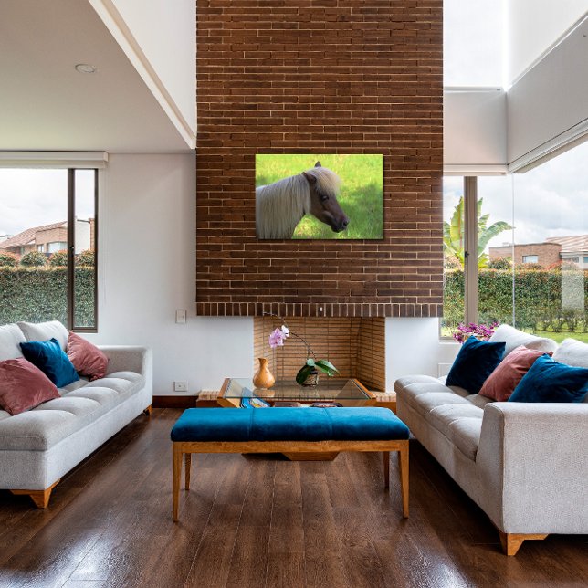 Brawn Miniaturpferd mit Blonde Mane Leinwanddruck (Von Creator hochgeladen)