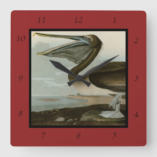 Brawn Pelican von Audubons Vögeln von Amerika Quadratische Wanduhr