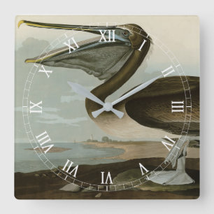 Brawn Pelican von Audubons Vögeln von Amerika Quadratische Wanduhr
