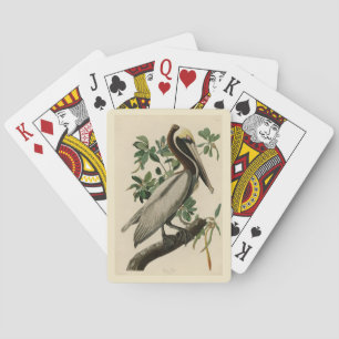 Brawn Pelican von Audubons Vögeln von Amerika Spielkarten
