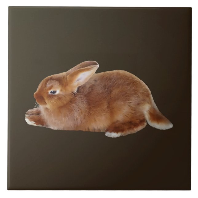 Brawn Rabbit Fliese (Vorderseite)