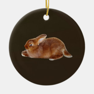 Brawn Rabbit Keramik Ornament
