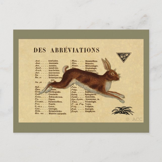 Brawn Rabbit Postkarte (Vorderseite)