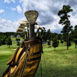 Brawnstone Grid Golf Headcover