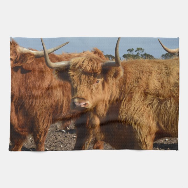 Brawny Beauty: Die majestätische Big Brown Highlan Geschirrtuch (Horizontal)