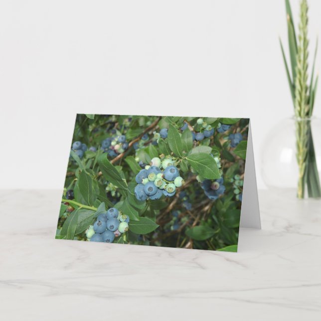 Brays Blueberries Greene Landkreis Indiana Karte (Vorderseite)
