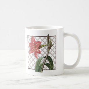 BRAZILIAN AMARYLLIS KAFFEETASSE