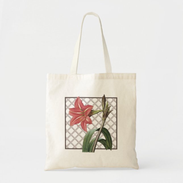 BRAZILIAN AMARYLLIS TRAGETASCHE (Vorne)