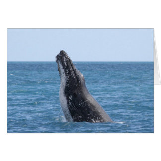 Breaching Whale