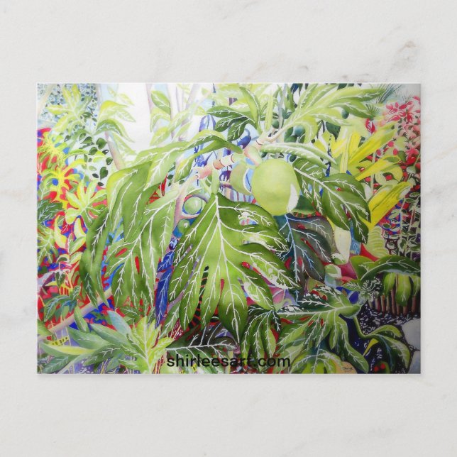 Breadfrucht Postkarte (Vorderseite)