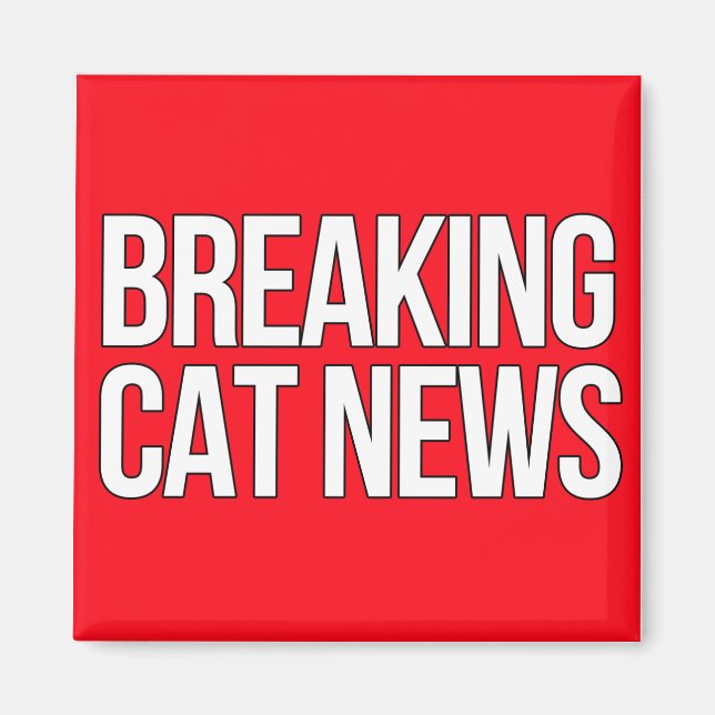 Break Cat News Magnet (Vorne)