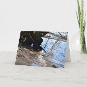 Breakers, Beachlife Karte